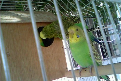 IMG0024A.jpg