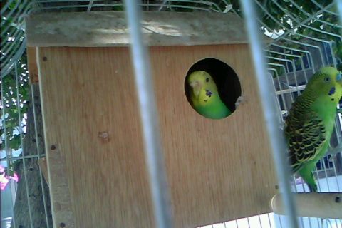 IMG0026A.jpg