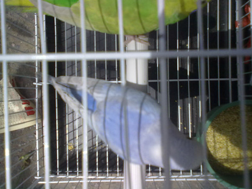 20120425203_副本.jpg