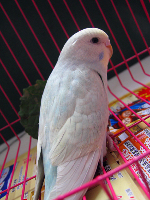 IMG_3010_副本.jpg