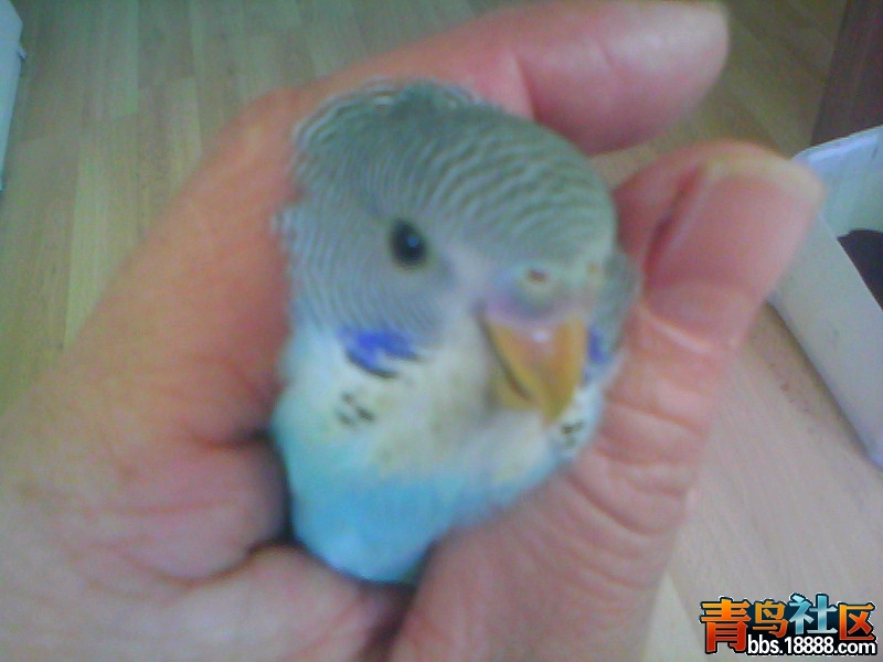20120408B003.jpg