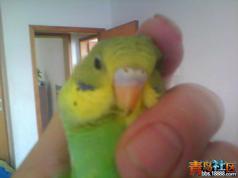 20120417B002.jpg