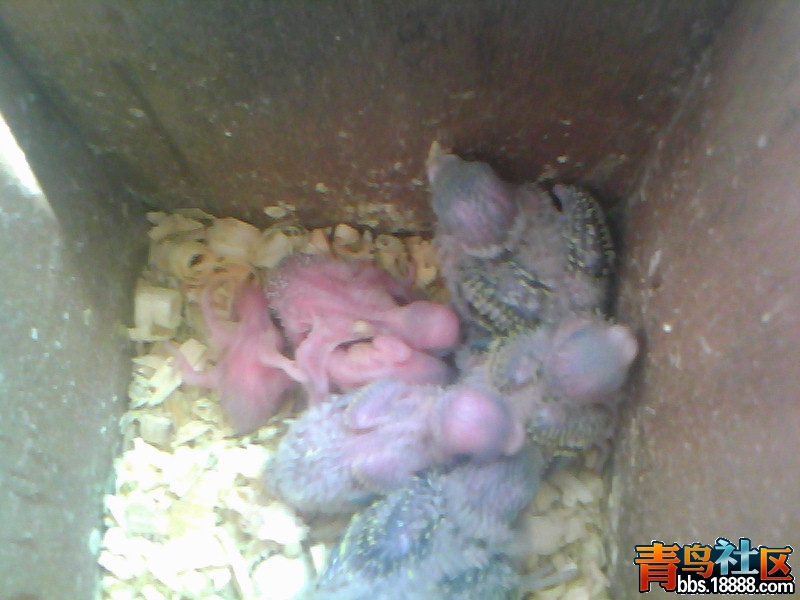 20120411B009.jpg