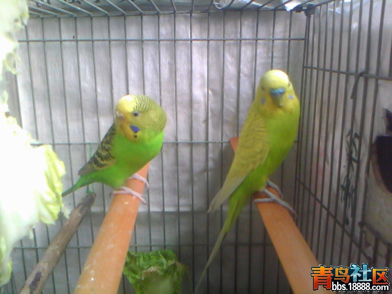 20120304G004.jpg