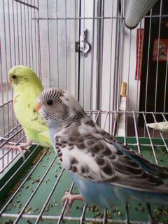 IMG0059A.jpg