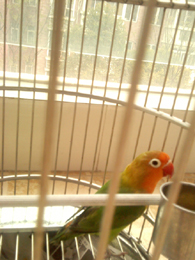 IMG_20120410_164654.jpg