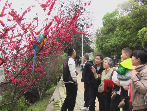 照片 248.jpg