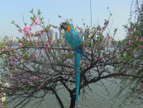 照片 185.jpg