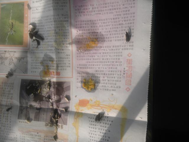 IMG_20120417_162347.jpg