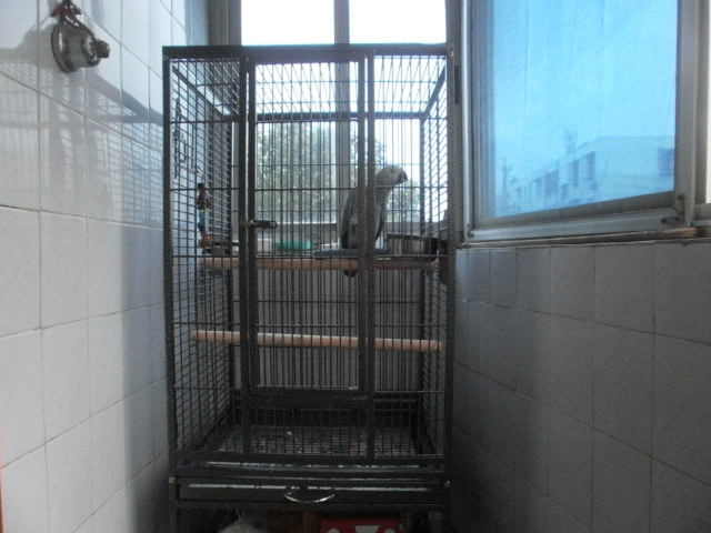P4100833.JPG