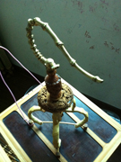 旋转 IMG_0354.jpg
