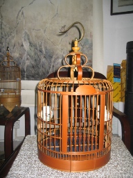 06.jpg