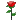 aface-027[1].gif