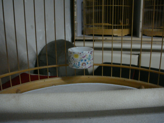 DSC07139.JPG