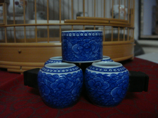 DSC07222.JPG