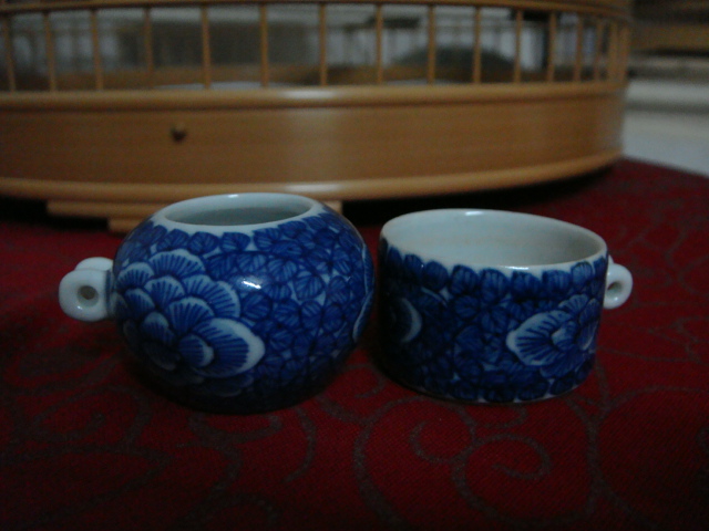 DSC07289.JPG