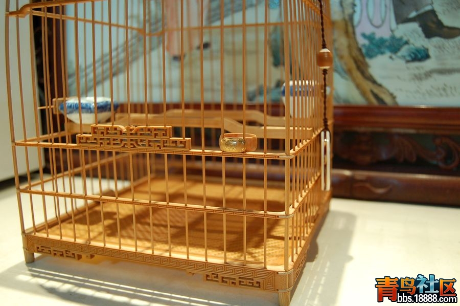 DSC_6607.JPG