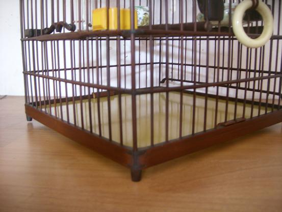 SL730092.JPG
