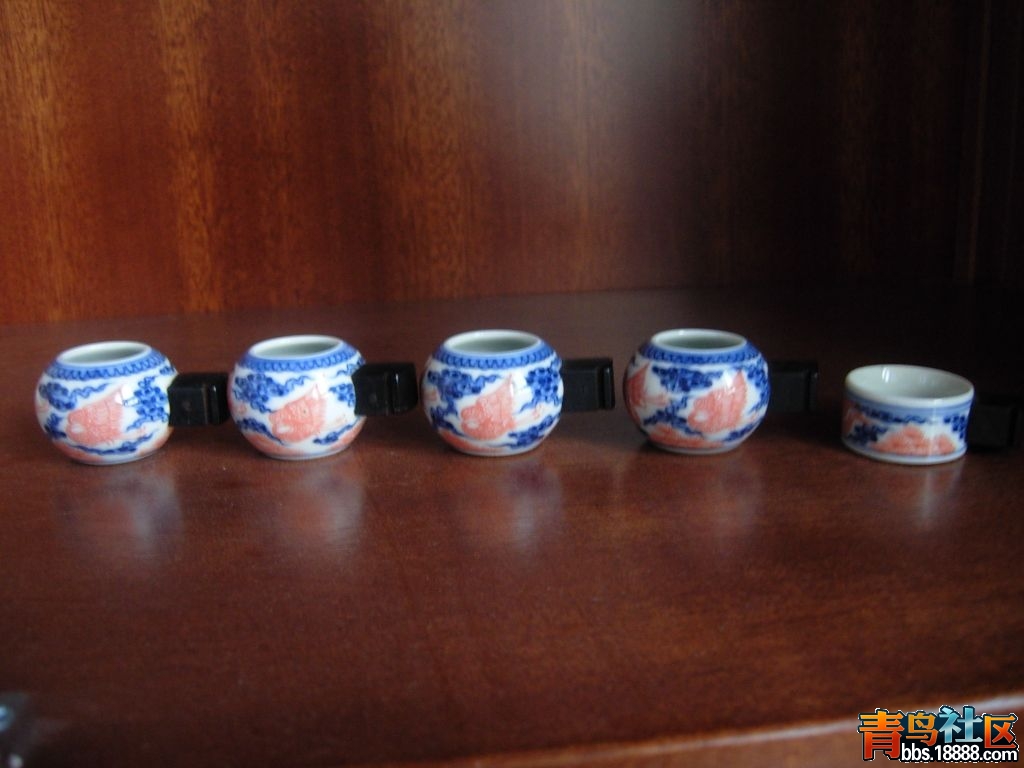 DSCN1894.jpg