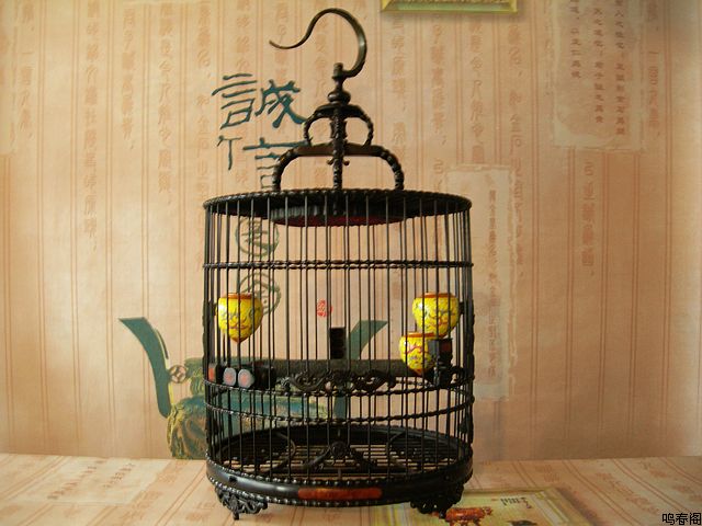 DSCN5924.jpg