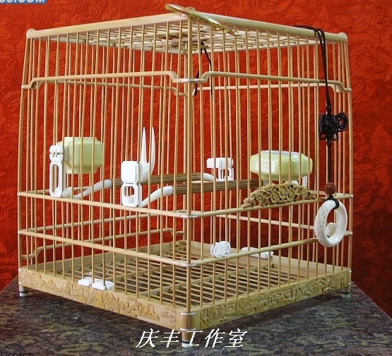 笼1.jpg