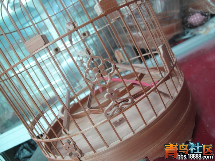 照片 467_调整大小.jpg