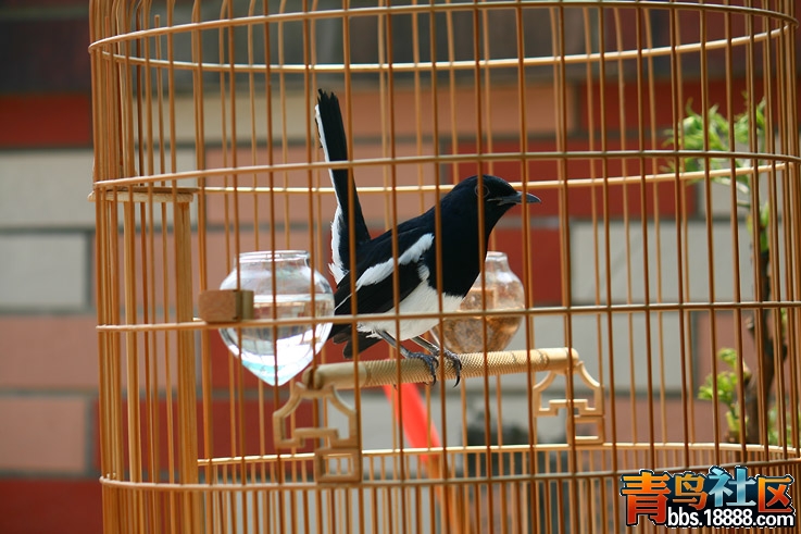 照片 103.jpg