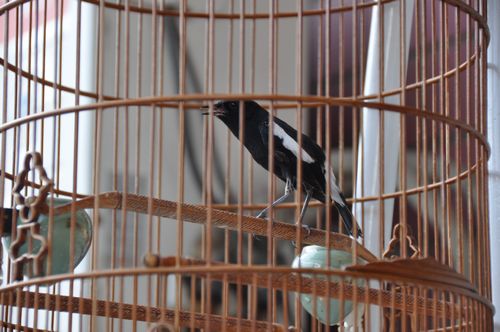 nEO_IMG_DSC_0161.jpg