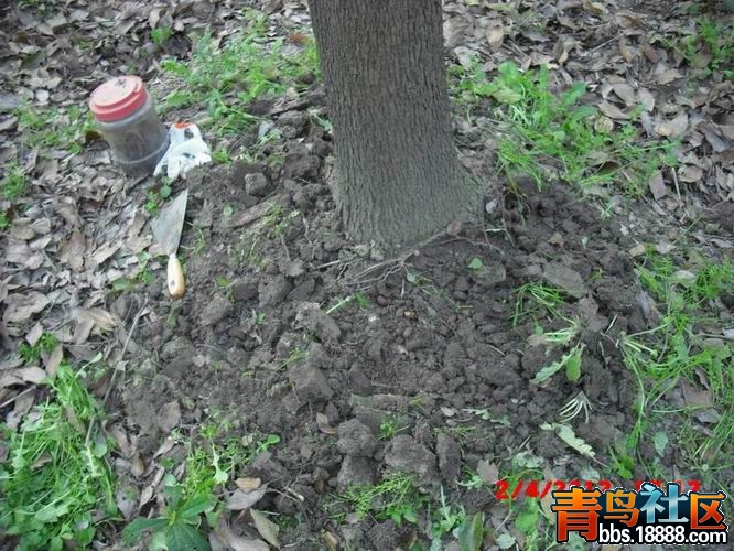 调整大小 调整大小 CIMG9927.JPG
