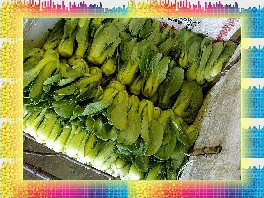 nEO_IMG_201204042804.jpg