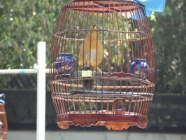 IMG_0028.JPG