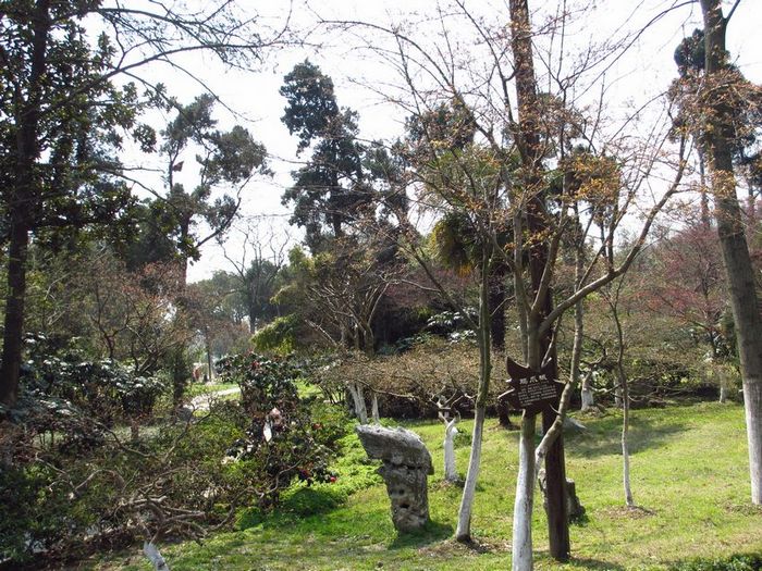 照片 003.jpg