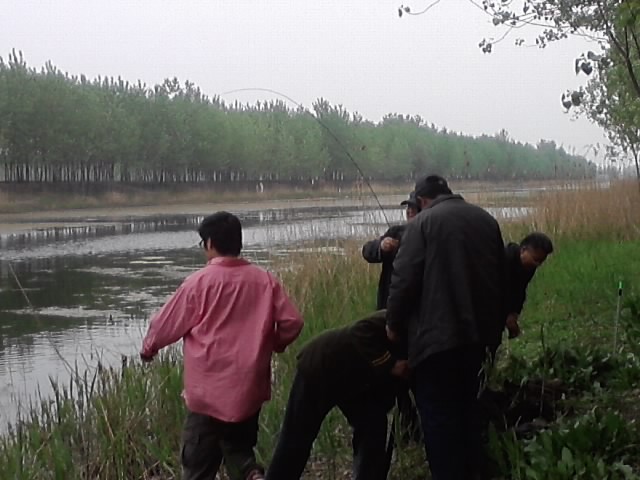 P140412_16.40_[03].jpg