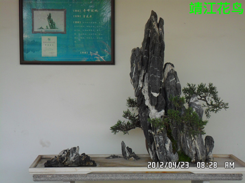 SAM_0648_副本.jpg