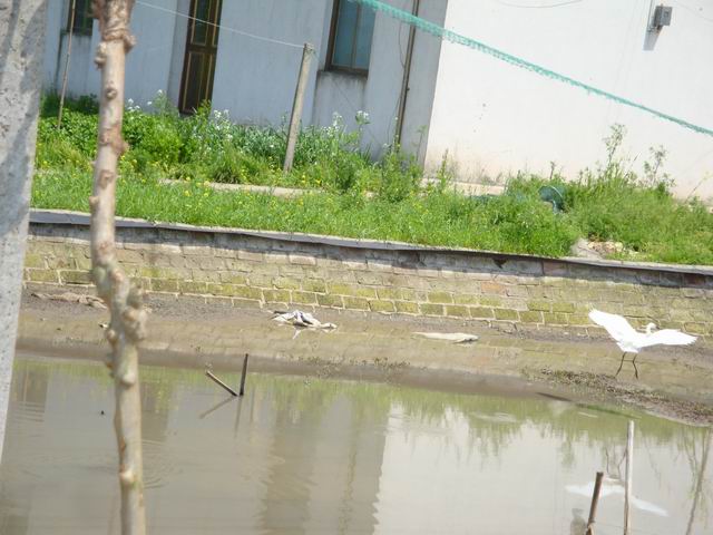 DSC02931.JPG