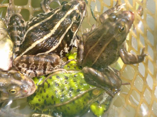 DSC02915.JPG