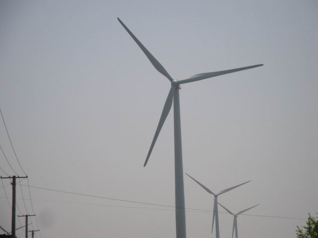 DSC02896.JPG