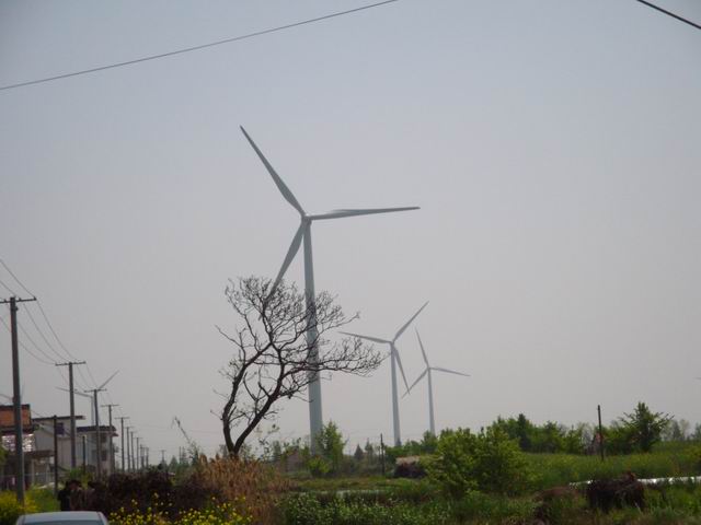 DSC02887.JPG