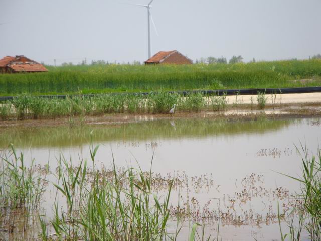 DSC02903.JPG