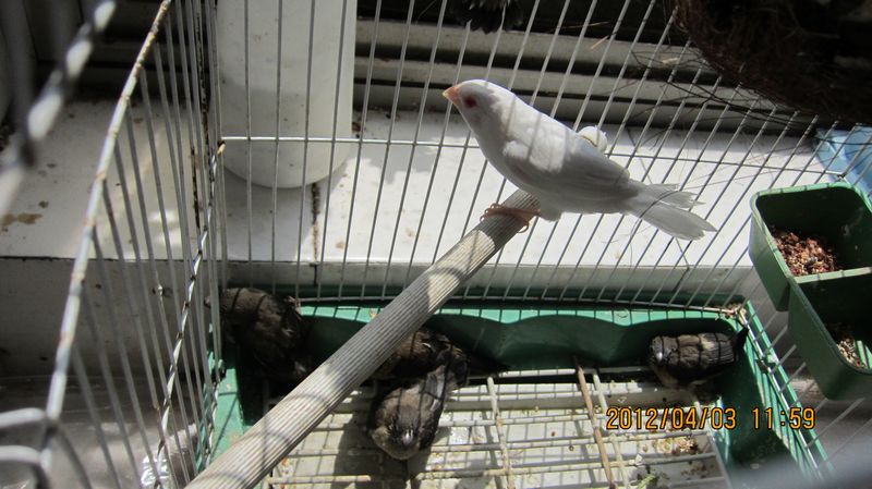 IMG_1452.JPG