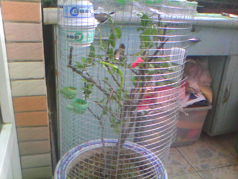 20120415A003.jpg