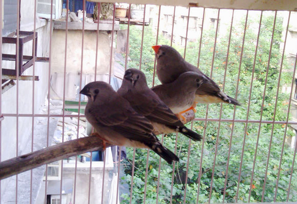IMG_20120427_073255.jpg
