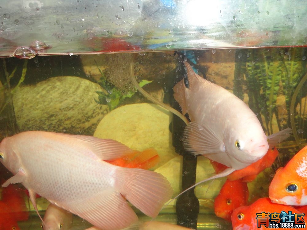 DSC00154新.jpg
