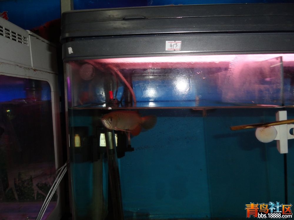 DSC00141新.jpg