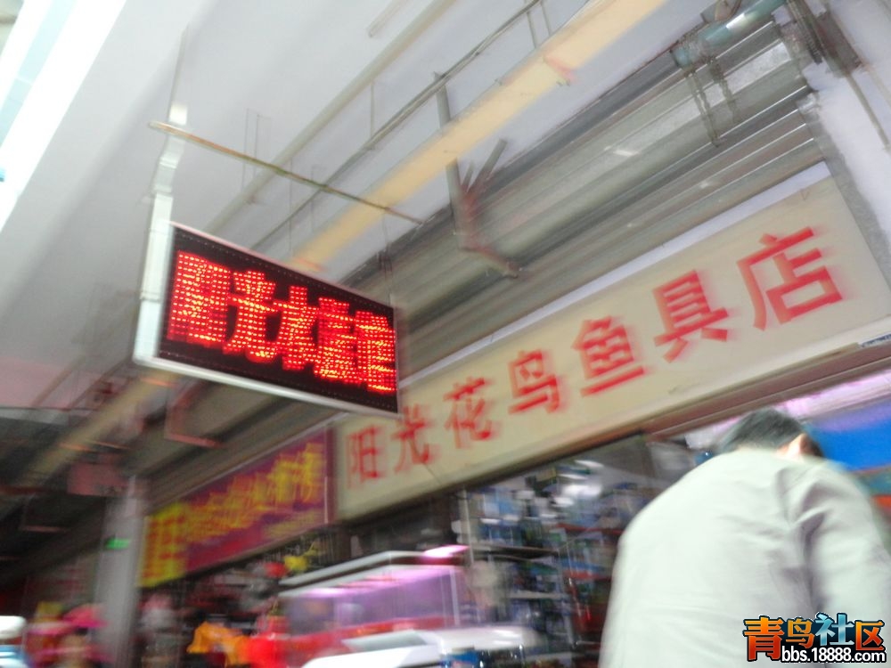 DSC00160新.jpg