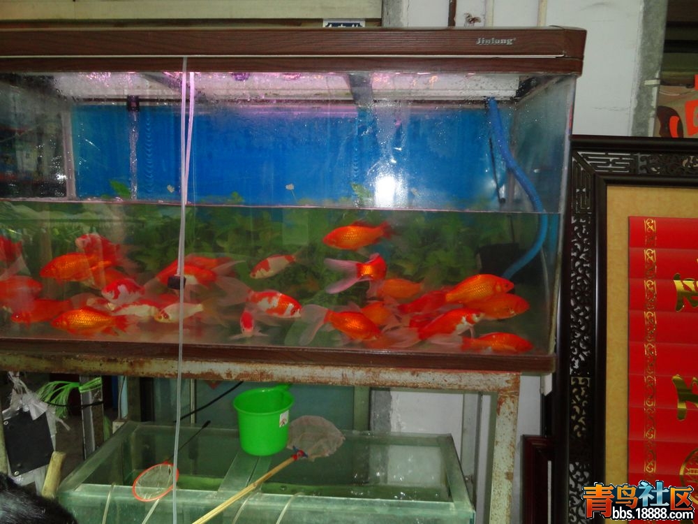 DSC00159新.jpg