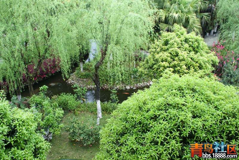 鱼塘-0.jpg