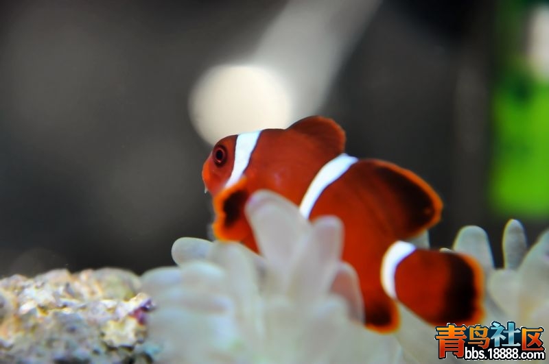 照片 135.jpg