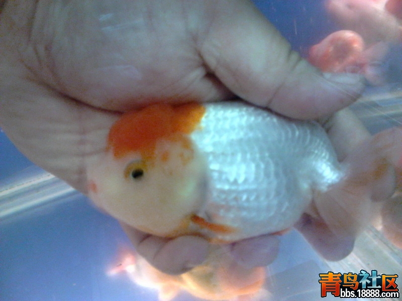 0422093701_调整大小.jpg