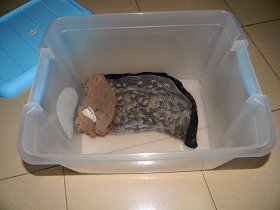 2012.2.17 068_nEO_IMG.jpg